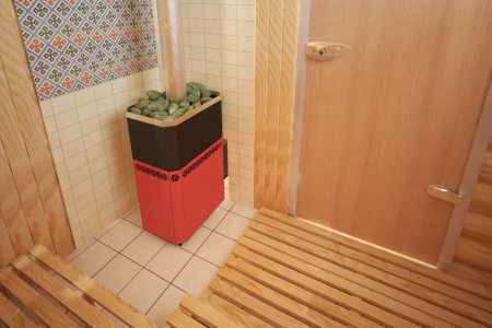 Печь банная Теплодар Русь 18 Л профи